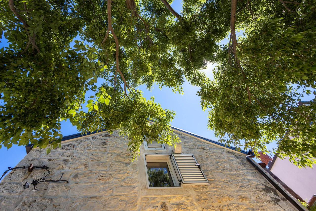 Apartments "Lory" -Baska Voda Exterior photo